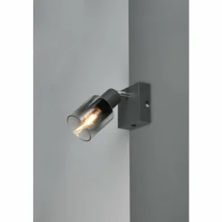 Luminaires Reality Cadiz Spot de plafond Anthracite, 1 lumière