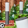 hofstein Caserta Borne lumineuse, Eclairage de chemin Anthracite, 1 lumière