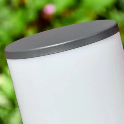 hofstein Caserta Lampe à prise électrique, Eclairage de chemin Anthracite, 1 lumière