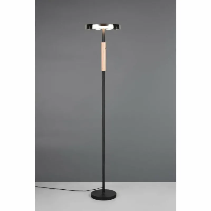 Suspension Verre Fumé-Luminaires Trio Celeste Lampadaire LED Noir, 1 lumière