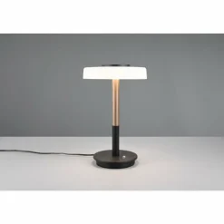 Luminaires Trio Celeste Lampe à poser LED Brun, 1 lumière