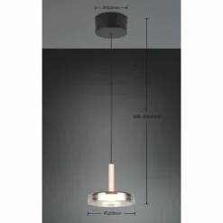 Suspension Verre Fumé-Luminaires Trio Celeste Suspension LED Noir, 1 lumière