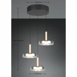Suspension Verre Fumé-Luminaires Trio Celeste Suspension LED Noir, 1 lumière