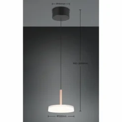 Luminaires Trio Celeste Suspension LED Brun, 1 lumière