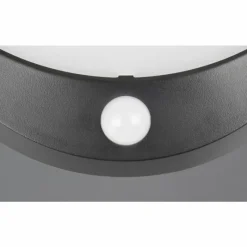 Luminaires Reality Cobre Applique murale LED Noir, 1 lumière, Détecteur de mouvement