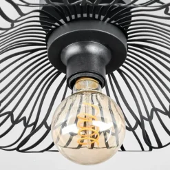 Luminaires Rustiques-hofstein Cristelo Plafonnier Noir, 1 lumière