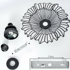 Luminaires Rustiques-hofstein Cristelo Plafonnier Noir, 1 lumière