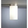 Luminaires Tecnolumen DMB 31 Tecnolumen Plafonnier Nickel mat, 1 lumière