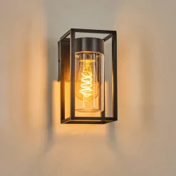 hofstein Doninhas Lampe murale d´extérieur Noir, 1 lumière