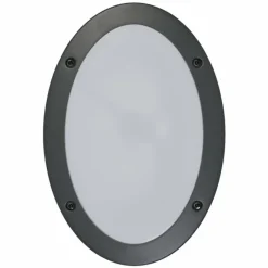 Luminaires Ledvance Endura Applique murale Gris, 2 lumières