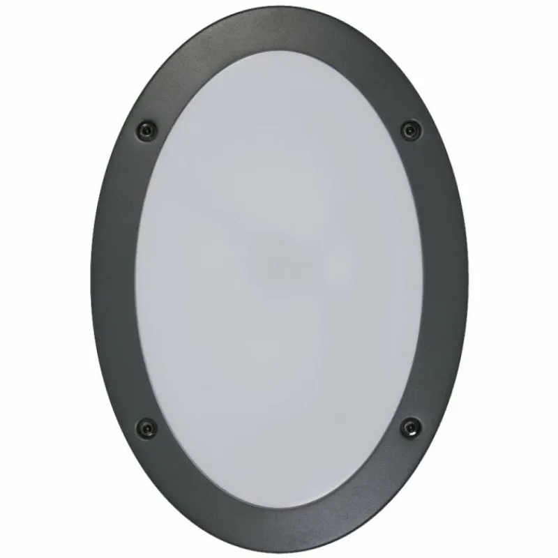 Luminaires Ledvance Endura Applique murale Gris, 2 lumières
