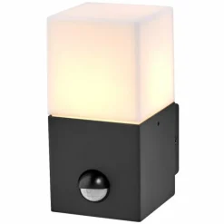 Luminaires Ledvance Endura Applique murale Gris, 1 lumière