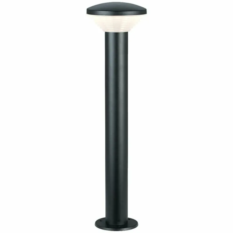 Luminaires Ledvance Endura Lampadaire d'extérieur LED Gris, 1 lumière