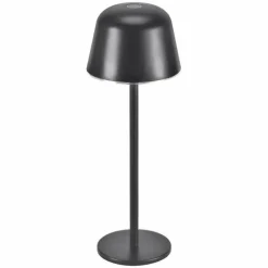 Luminaires Ledvance Endura Lampe à poser LED Gris, 1 lumière