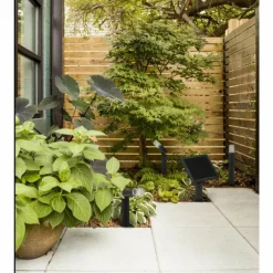 Luminaires Ledvance Endura Spot de jardin LED Noir, 1 lumière