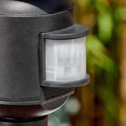 Luminaires Rustiques-hofstein Etoe Luminaire extérieur, Eclairage de chemin Noir, 1 lumière, Détecteur de mouvement