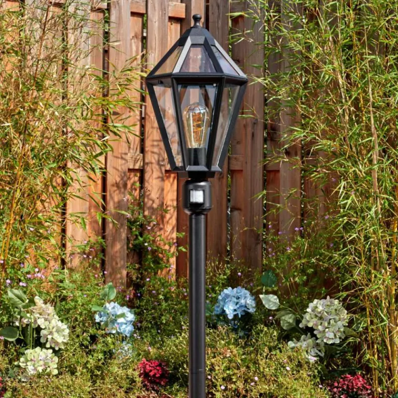 Luminaires Rustiques-hofstein Falfosa Luminaire extérieur, Eclairage de chemin Noir, 1 lumière, Détecteur de mouvement