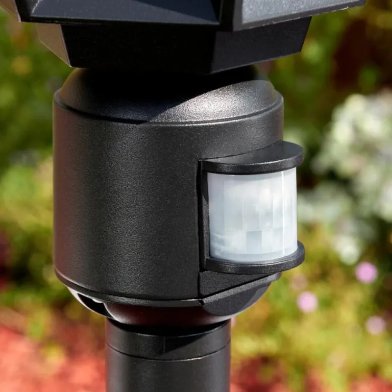 Luminaires Rustiques-hofstein Falfosa Luminaire extérieur, Eclairage de chemin Noir, 1 lumière, Détecteur de mouvement