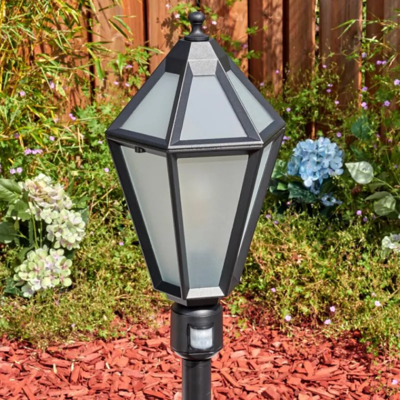 Luminaires Rustiques-hofstein Falfosa Luminaire extérieur, Eclairage de chemin Noir, 1 lumière, Détecteur de mouvement