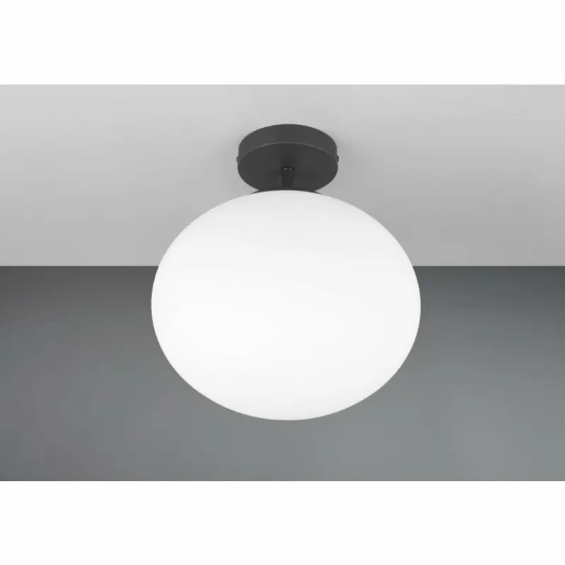 Luminaires Trio Fomento Plafonnier Noir, 1 lumière