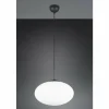 Luminaires Trio Fomento Suspension Noir, 1 lumière