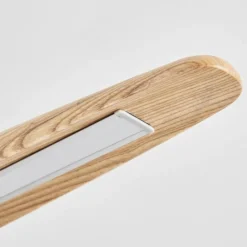 Lampes Vintages & Rétros-hofstein Fugelsta Suspension, Suspension LED Noir, 1 lumière