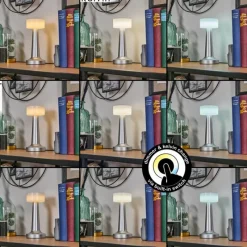 hofstein Gallboda Lampe à poser LED Argenté, 1 lumière