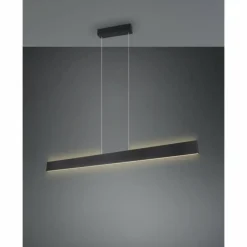 Luminaires Trio Galway Suspension LED Noir, 1 lumière* Éclairage Led