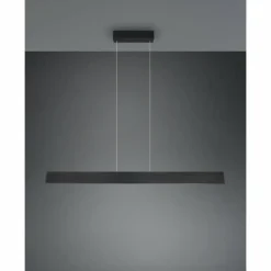 Luminaires Trio Galway Suspension LED Noir, 1 lumière* Éclairage Led