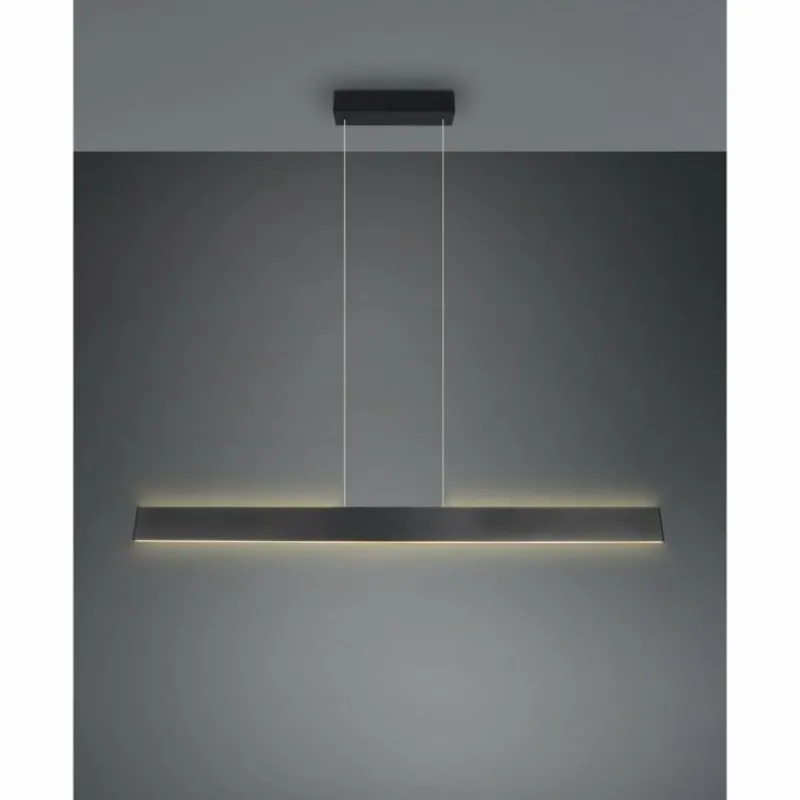 Luminaires Trio Galway Suspension LED Noir, 1 lumière* Éclairage Led