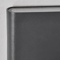 hofstein Gamas Lampe murale d´extérieur, Luminaire de salle de bain, Applique murale, Spot mural Anthracite, 1 lumière