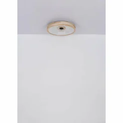 Luminaires Globo Lighting Gatian Ventilateur de plafond lumineux LED Brun foncé, Blanc, 1 lumière, Télécommandes