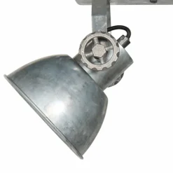 Lampes Industrielles-Luminaires Steinhauer Gearmetal Plafonnier, Spot de plafond Argent Oxydé, 2 lumières