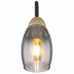 Suspension Verre Fumé-Luminaires Globo Lighting GERLY Applique murale Noir, 1 lumière