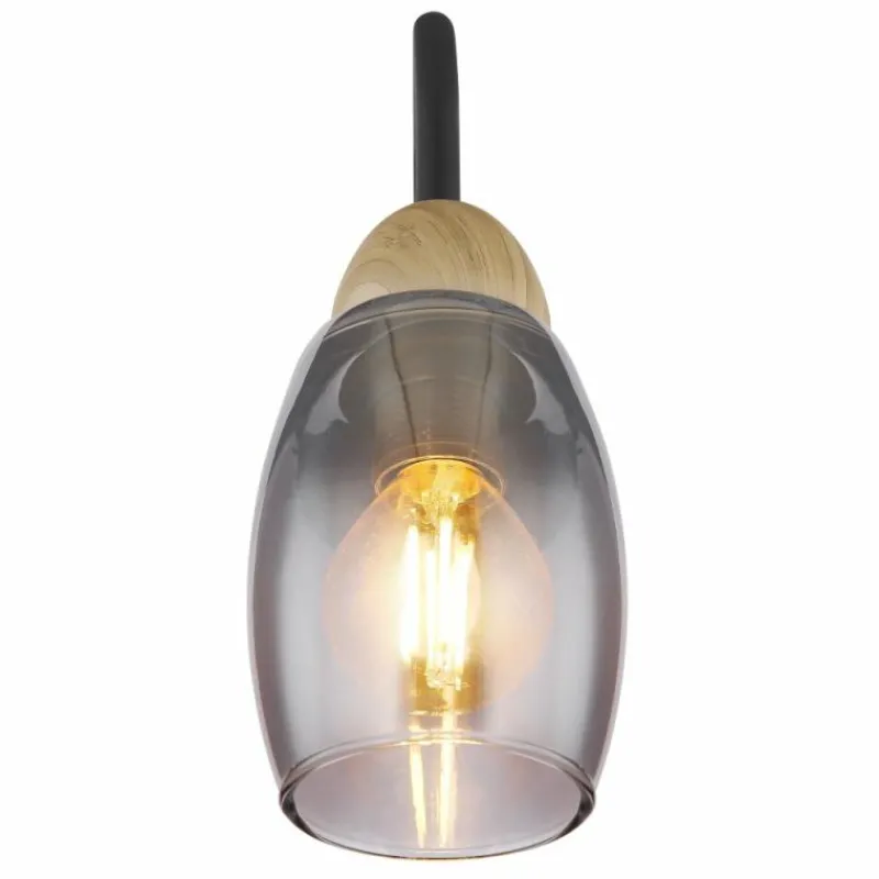 Suspension Verre Fumé-Luminaires Globo Lighting GERLY Applique murale Noir, 1 lumière