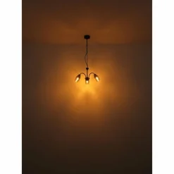 Suspension Verre Fumé-Luminaires Globo Lighting GERLY Applique murale Noir, 1 lumière