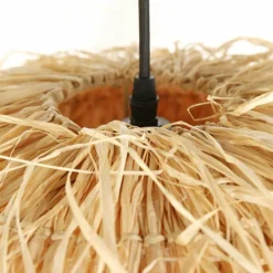 Luminaires Steinhauer Grass Suspension Noir, 1 lumière* Suspensions