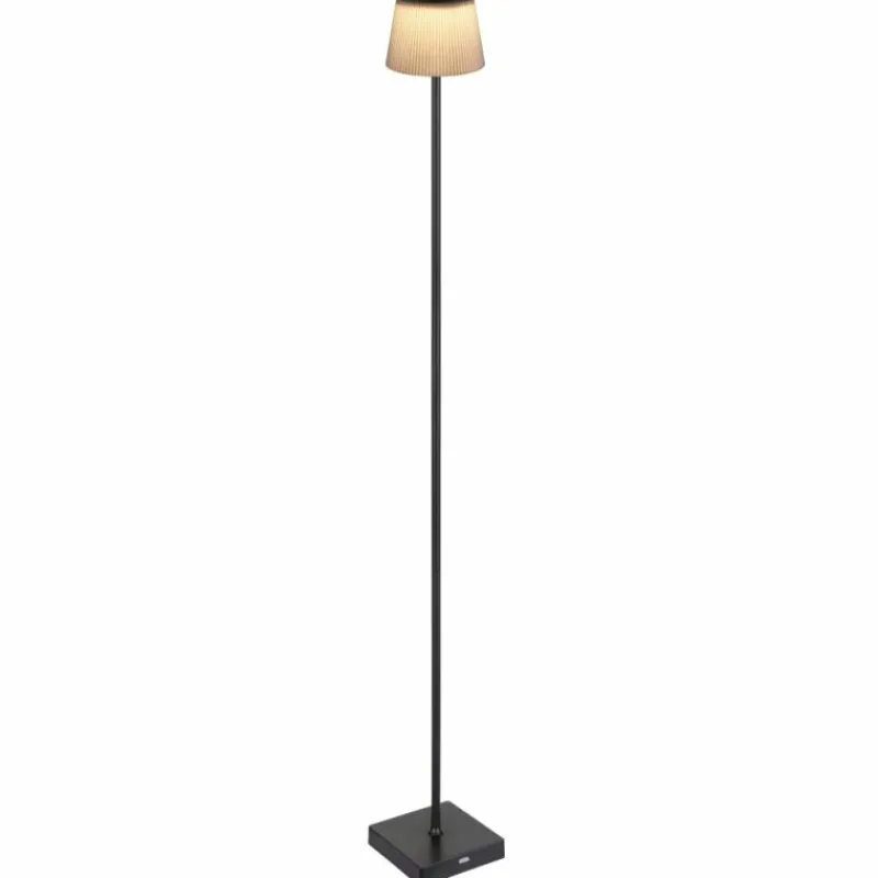 Luminaires Globo Lighting Gregoir Lampadaire LED Noir, 1 lumière