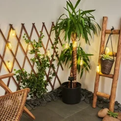 hofstein guirlande lumineuse solaire Markhus LED Transparent, 10 lumières