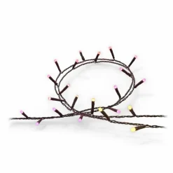 Luminaires Philips Guirlande Philips Hue Festavia LED Noir, 250 lumières, Changeur de couleurs