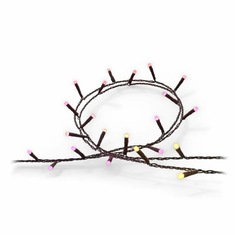 Luminaires Philips Guirlande Philips Hue Festavia LED Noir, 500 lumières, Changeur de couleurs