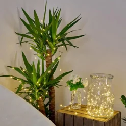 hofstein Guirlande solaire Pistoia LED Blanc, 120 lumières