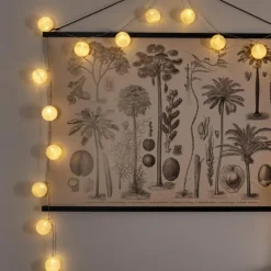 hofstein Guirlande Sondrio LED, 20 lumières