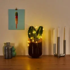 hofstein Guirlande Sondrio LED, 20 lumières