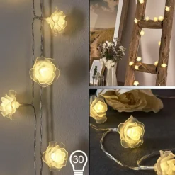 hofstein Guirlande Sondrio LED, 30 lumières