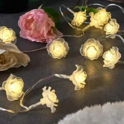 hofstein Guirlande Sondrio LED, 30 lumières