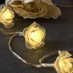 hofstein Guirlande Sondrio LED, 30 lumières