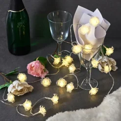 hofstein Guirlande Sondrio LED, 20 lumières