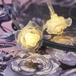 hofstein Guirlande Sondrio LED, 20 lumières