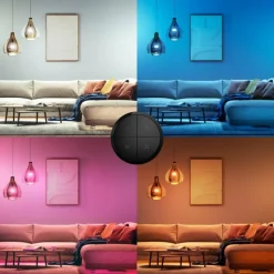 Luminaires Philips interrupteur Philips Hue Tap Dial Noir